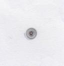 Seite 1